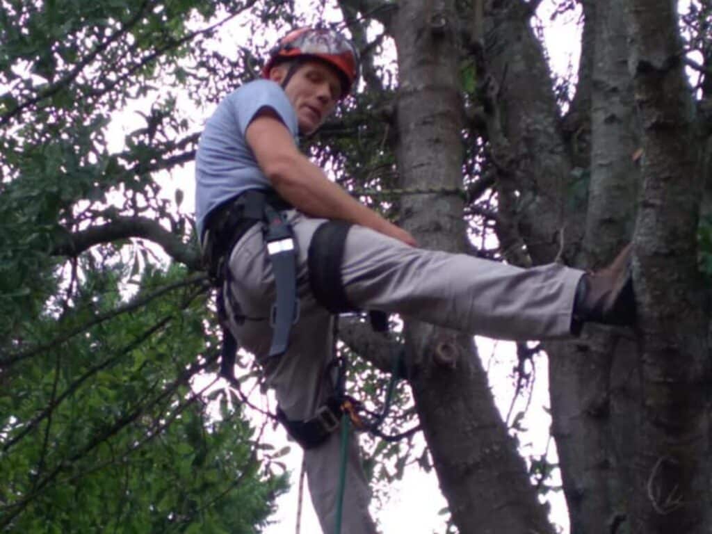 man in helmet climbing a tree