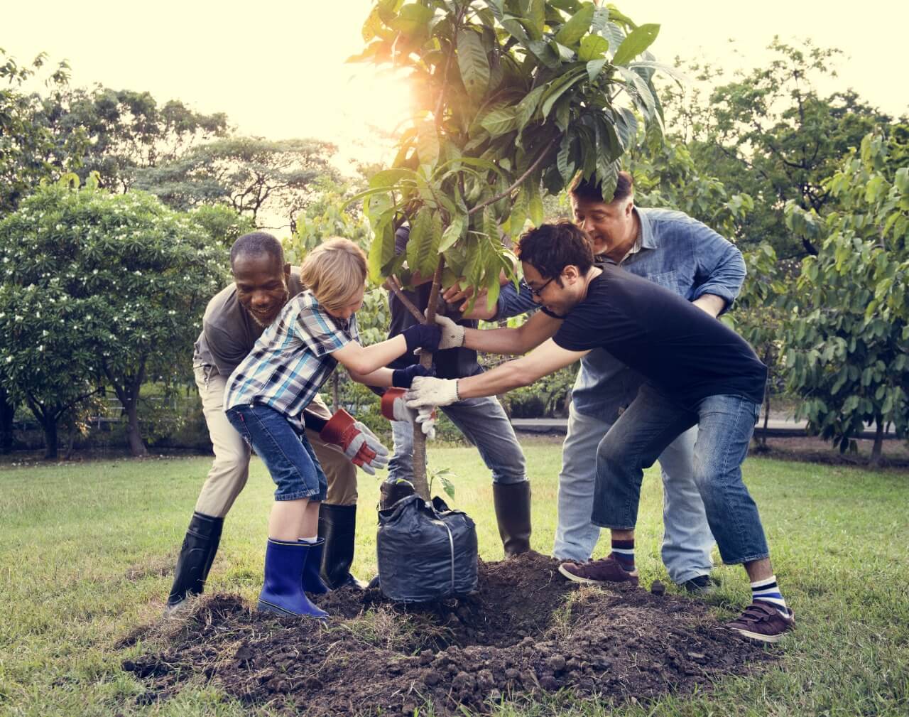 men planting a tree