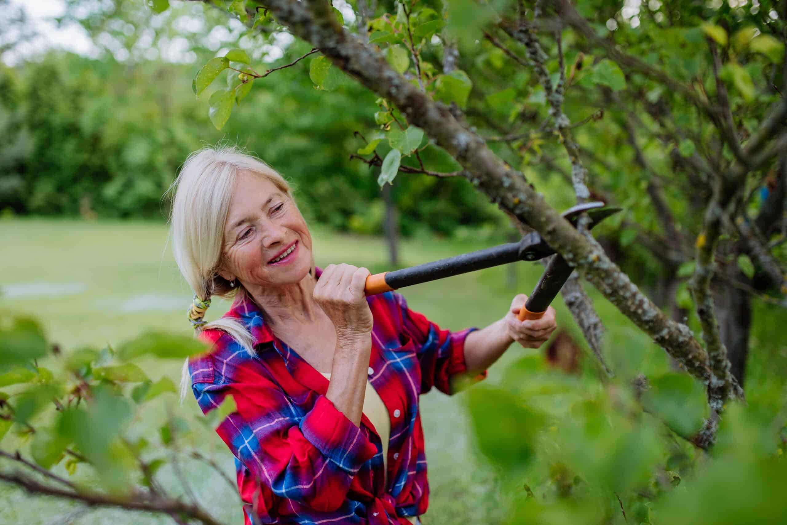 senior woman gardening in summer cutting branches 2022 11 18 18 38 38 utc min min 1